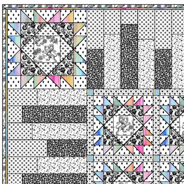 It s Not All Black and White Quilt Kit 66 1 2  x 66 1 2  For Sale - Image 4